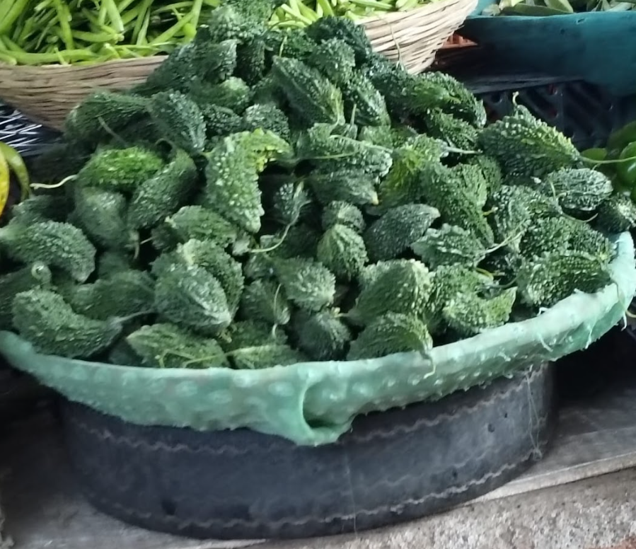 seed classification 3