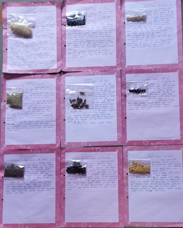 seed classification 4